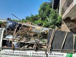Best Yard Waste Removal  in Randallstown, MD